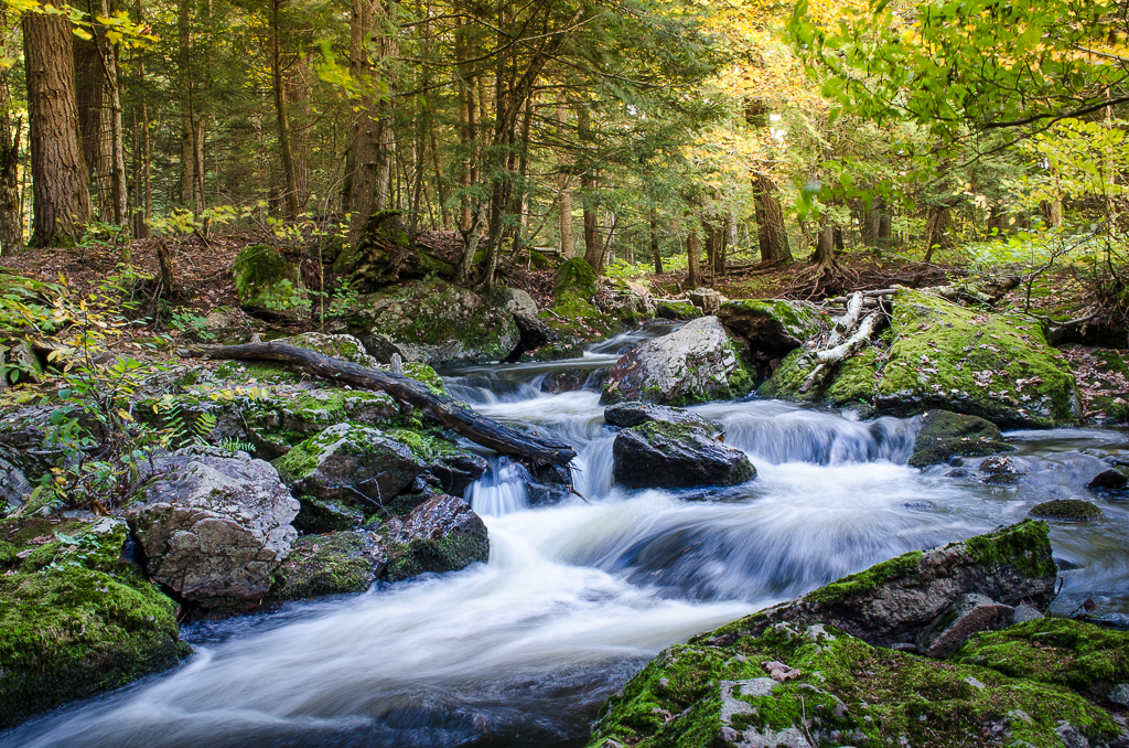 A Waterfall Glen