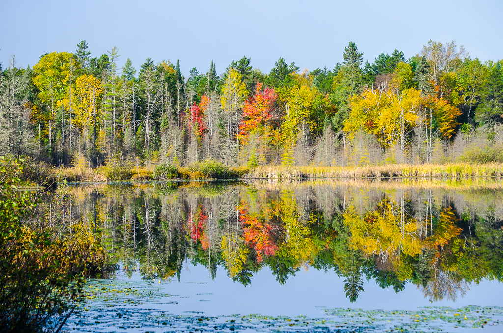 Fall Reflections