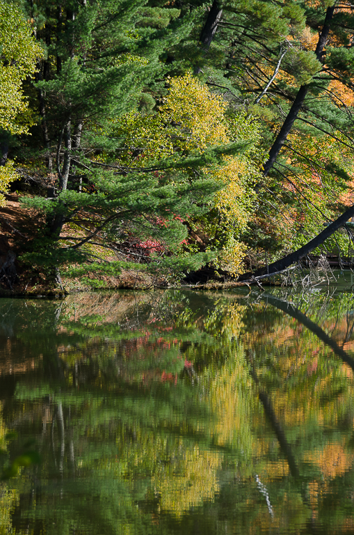 Mirrored on a River