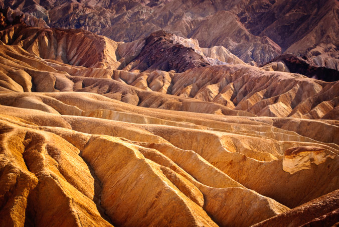 Golden Furrows I