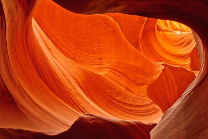 Orange Delight