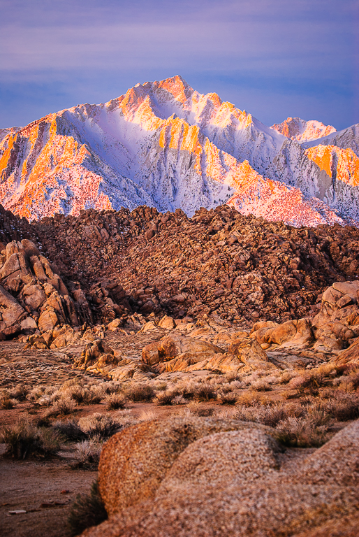 Sierra Pink Sunrise