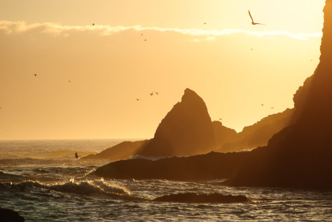 Sun Flight / Sea Mist
