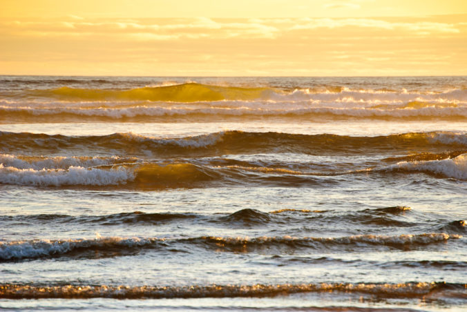 Pacific Gold