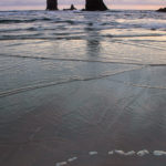 Pacific Kiss