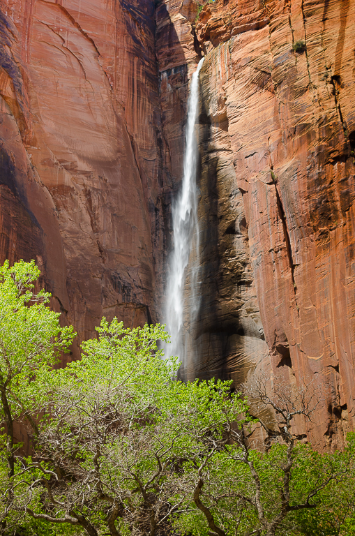 Zion Waterfall