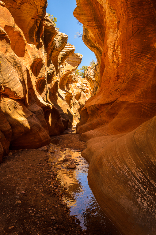 Willis Creek II