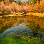 Deep Trout Pond
