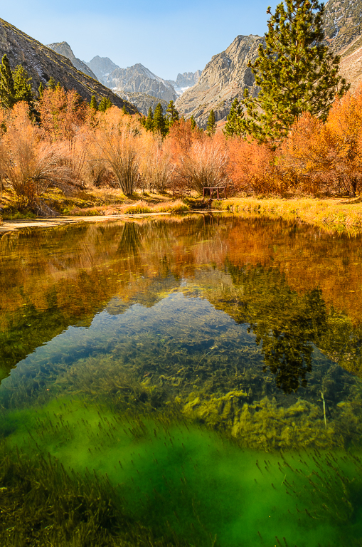 Deep Trout Pond