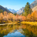 Trout Pond Horizontal
