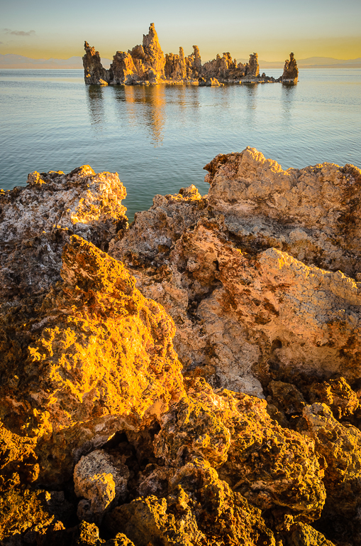 Mono Lake Gold
