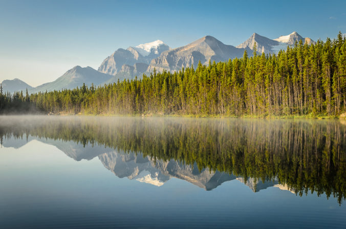 Stillness