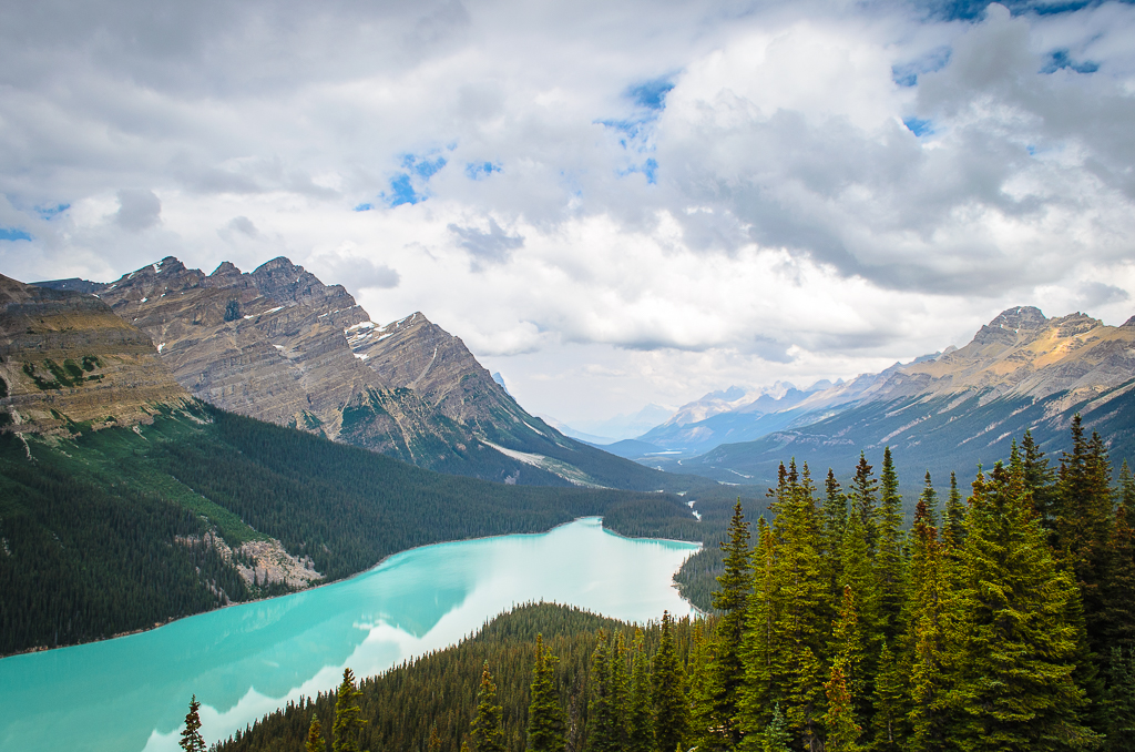 Peyto Lake I