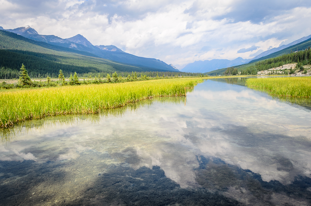 Beauty Creek Midday I