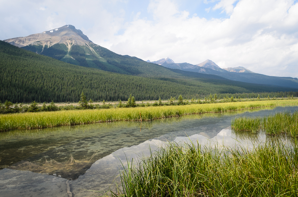 Beauty Creek Midday II