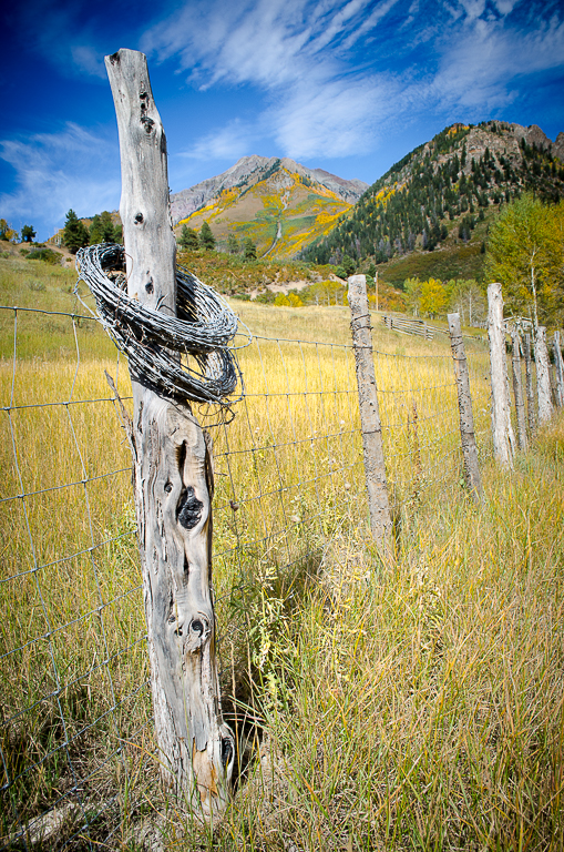 Barbed Wire Wreath