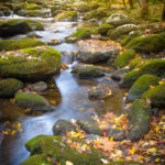 Mossy Little River