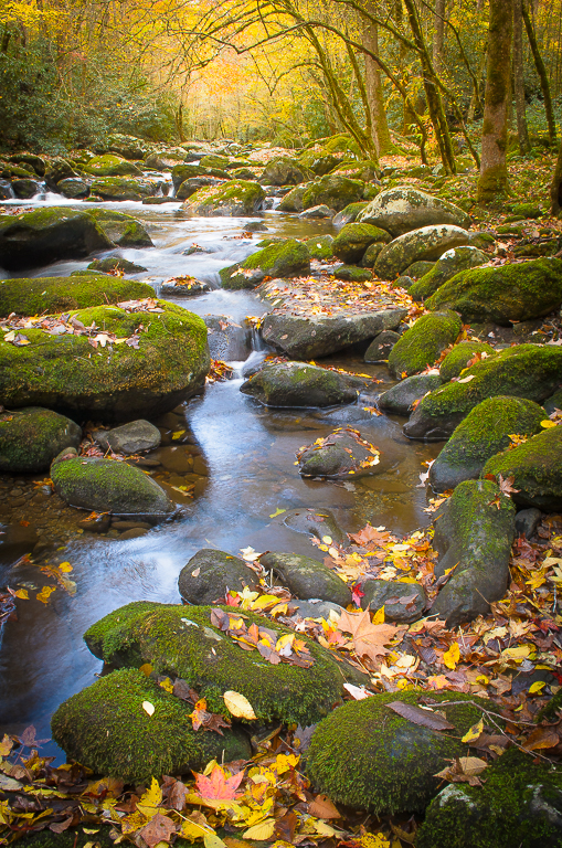 Mossy Little River