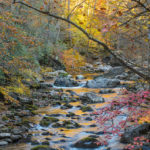 Little River Sunrise