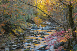Little River Sunrise
