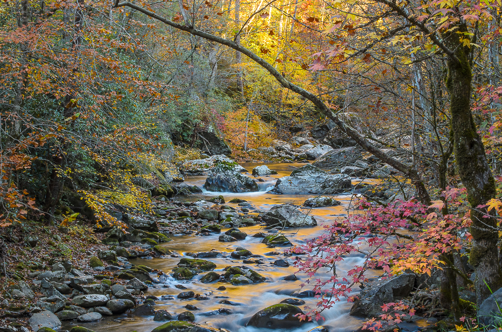 Little River Sunrise