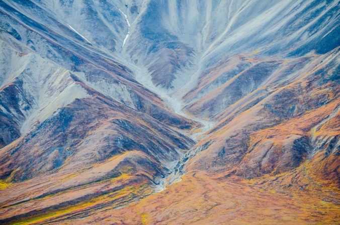 Alaskan Angles