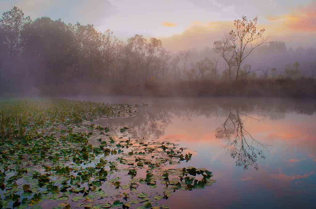 Dawn at Beaver Marsh
