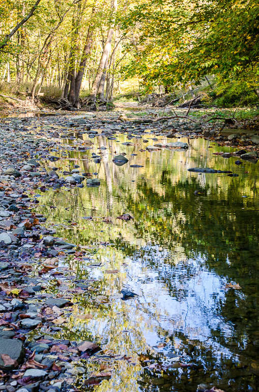 Afternoon Quiet on Chippewa Creek